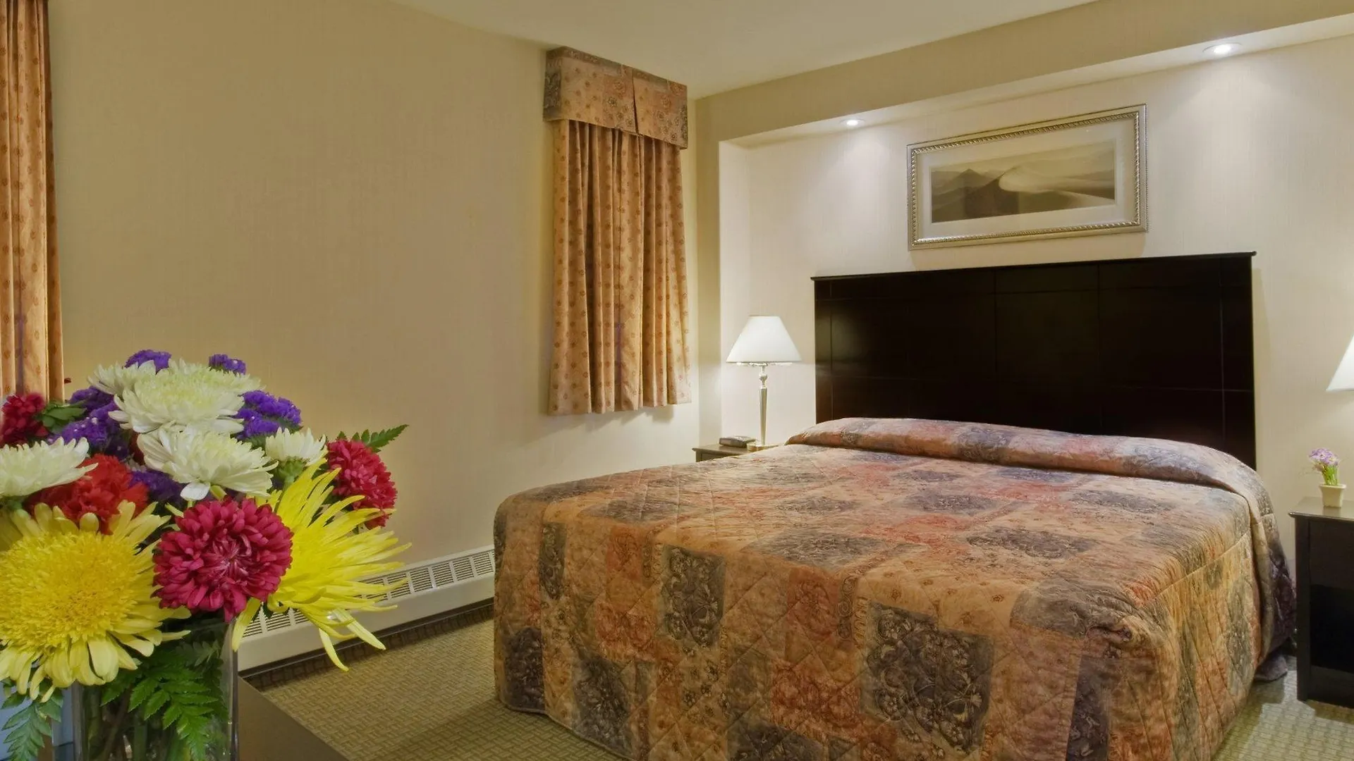 Econo Lodge Inn & Suites Downtown Toronto Otel