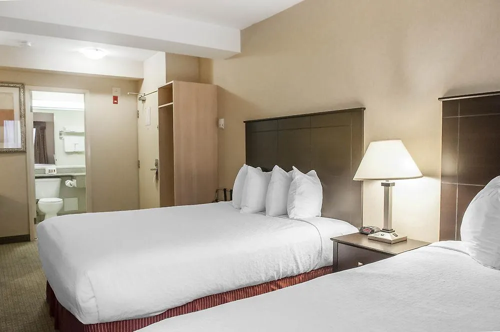 Econo Lodge Inn & Suites Downtown Toronto Hotel