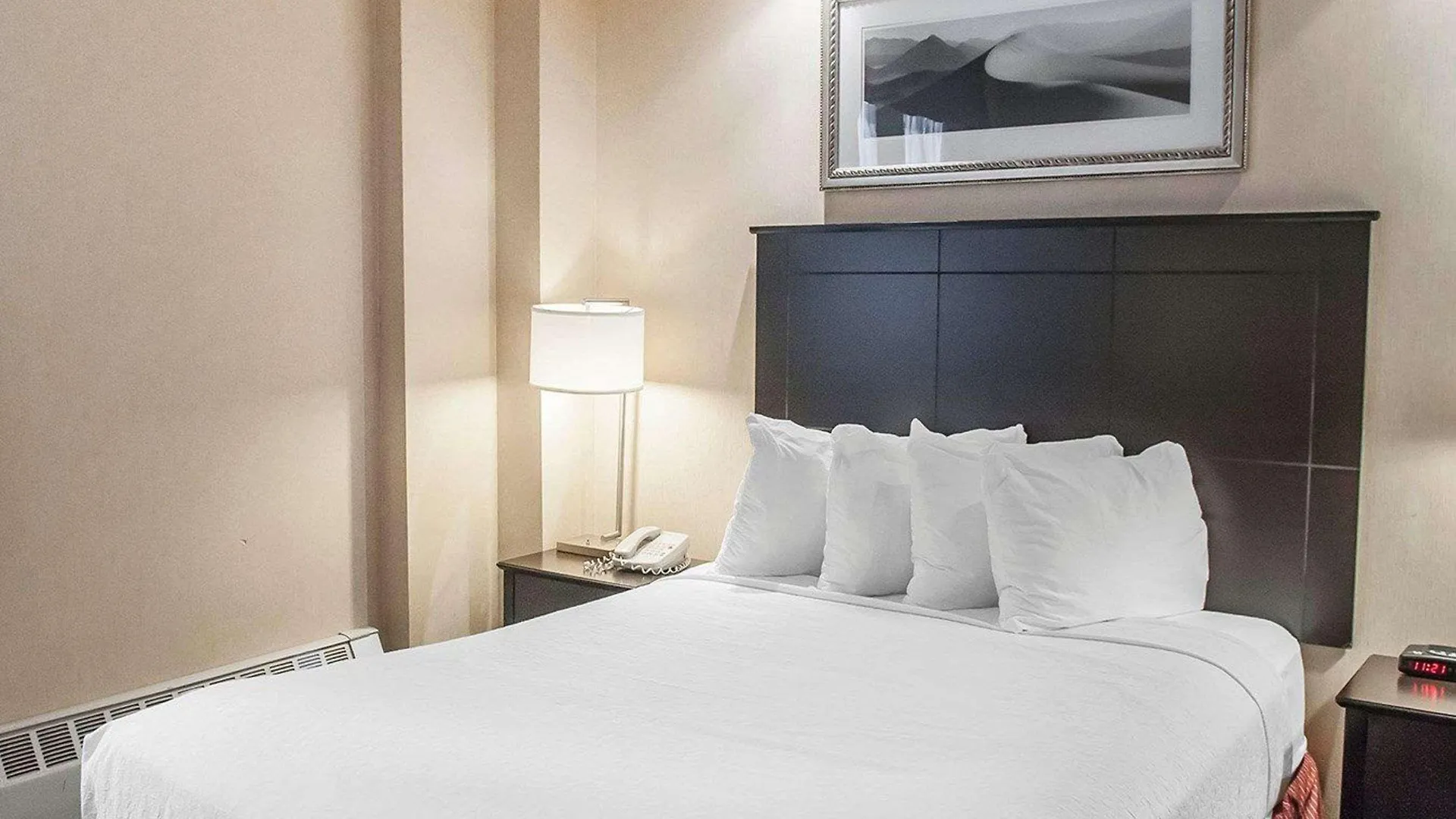 Hotel Econo Lodge Inn & Suites Downtown Toronto